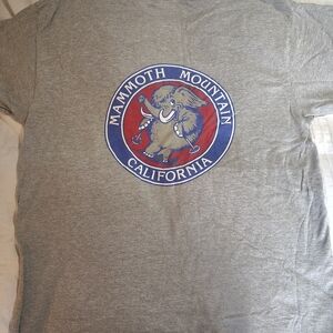 Gildan Gray Mammoth Mountain Tee Size ( L ) Vintage Perfect Condition